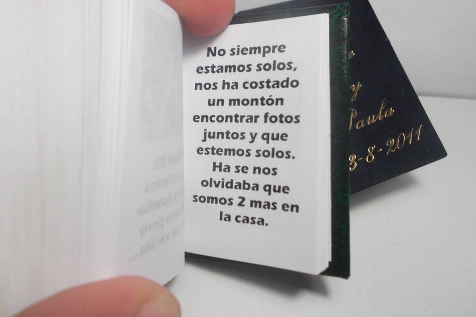 Libros en miniatura