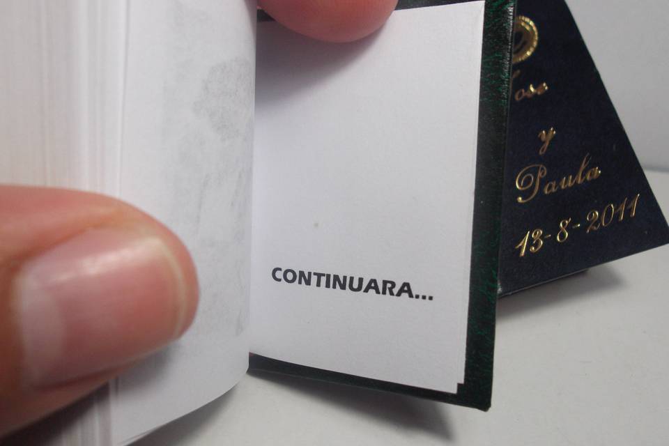 Libros en miniatura