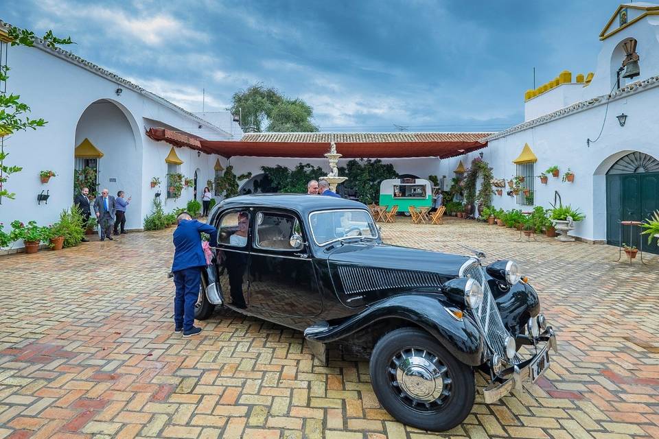 Citroën 11 negro