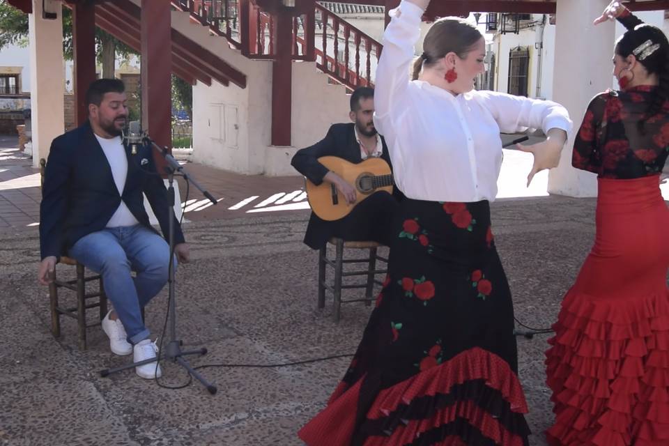 Cuadro flamenco