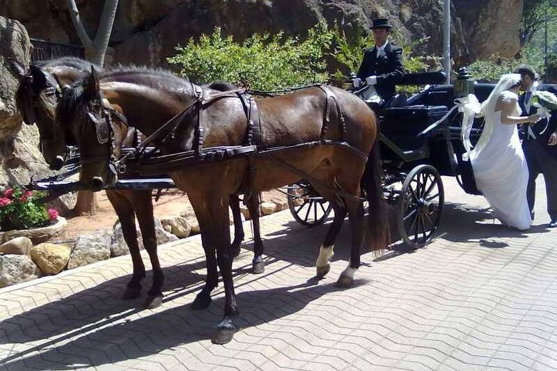 Carruaje de caballos para boda