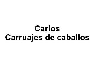 Carlos - Carruajes de caballos