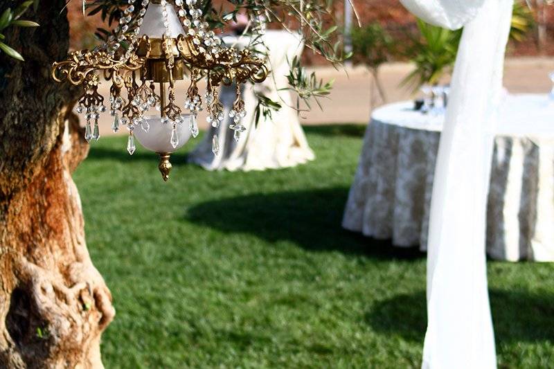 Boda marqués de valdueza