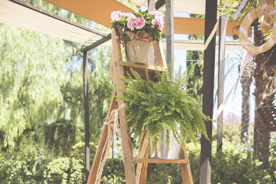 Escalera con plantas