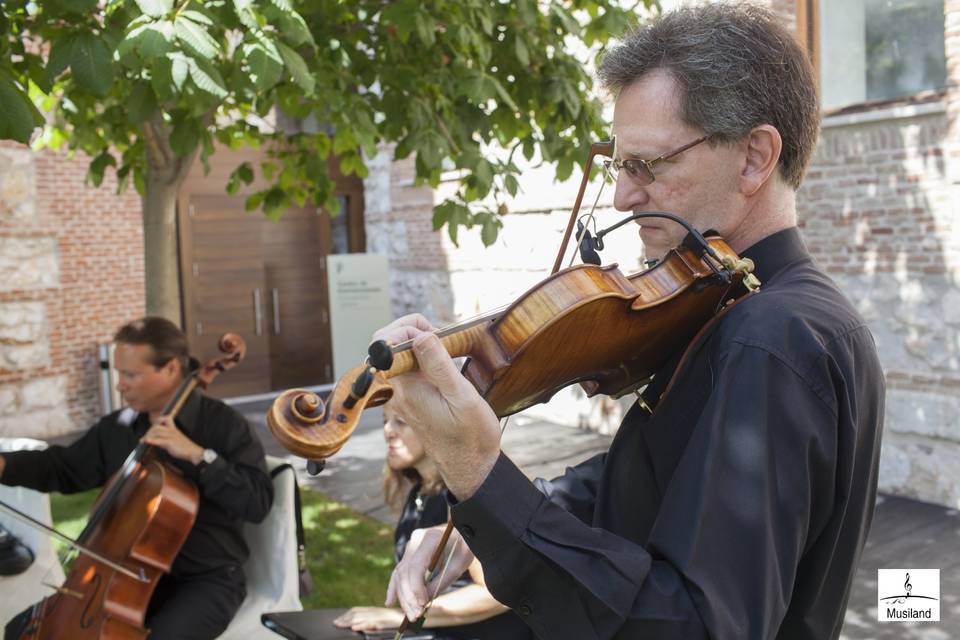 Música en la ceremonia civil