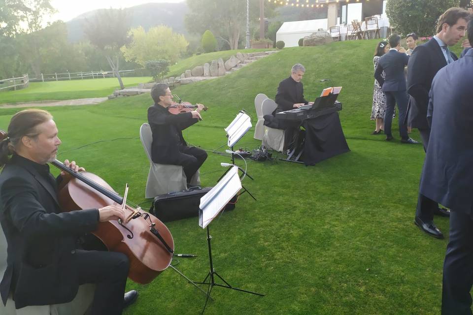 Música en el cóctel