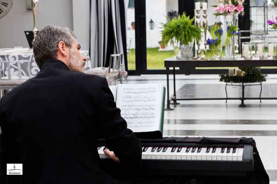 Música en el cóctel