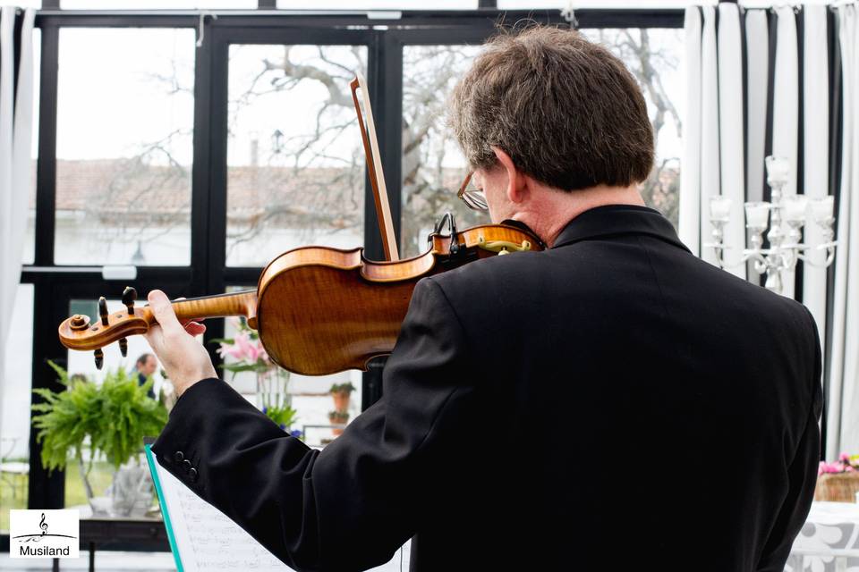 Música en el cóctel