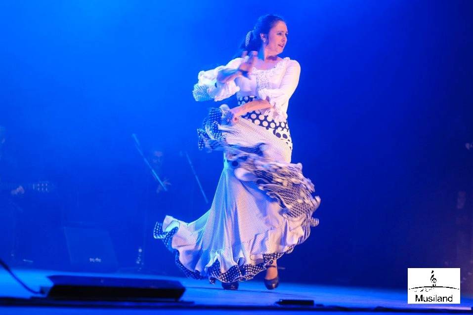 Flamenco en el banquete