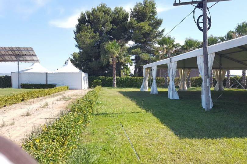 Carpa para bodas