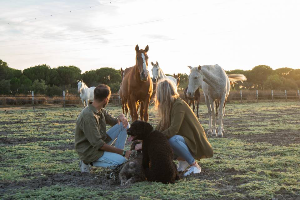 Sesión preboda