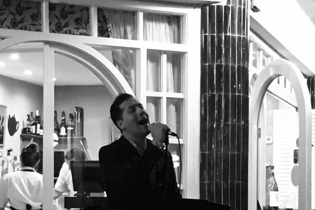 Cantante profesional