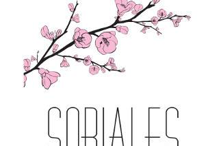 Soriales - Arte floral
