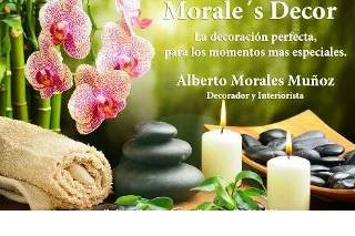 Logo Morales Decor