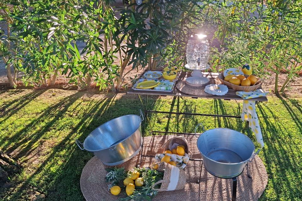 Zona de limonada y agua