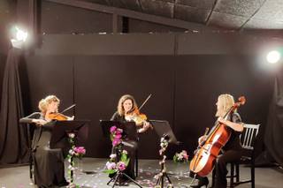 Violet StringTrio