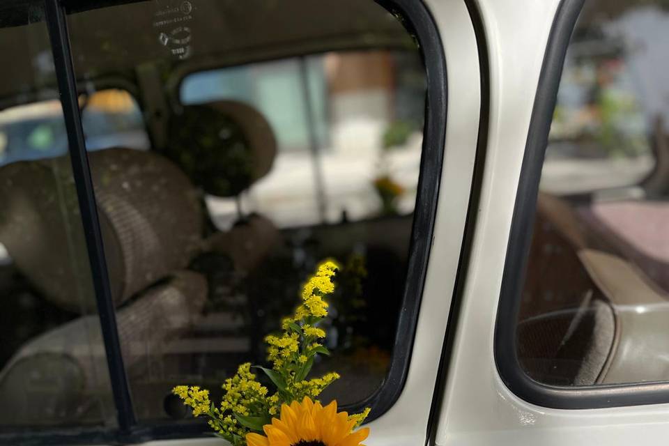Coche novios