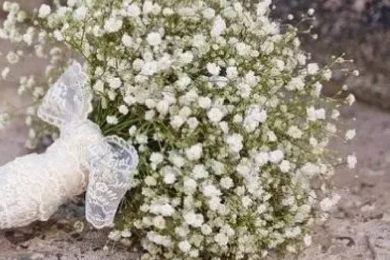 Ramo novia paniculata