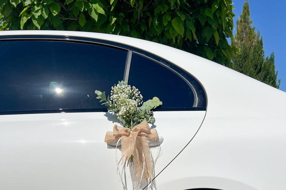 Coche novios