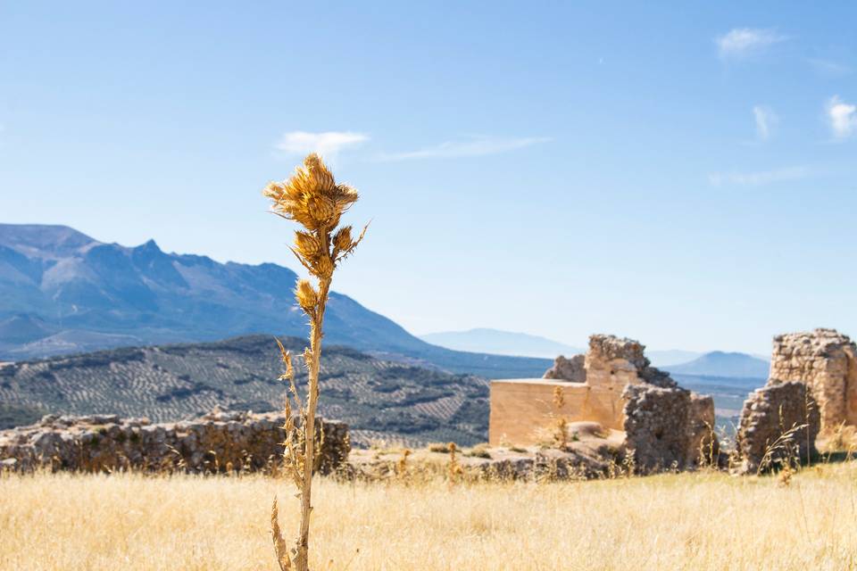 Castillo árabe