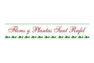 Flores y Plantas Sant Rafel