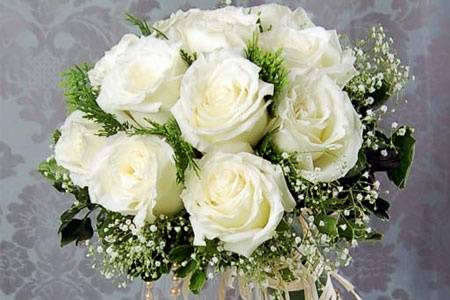 Rosas blancas