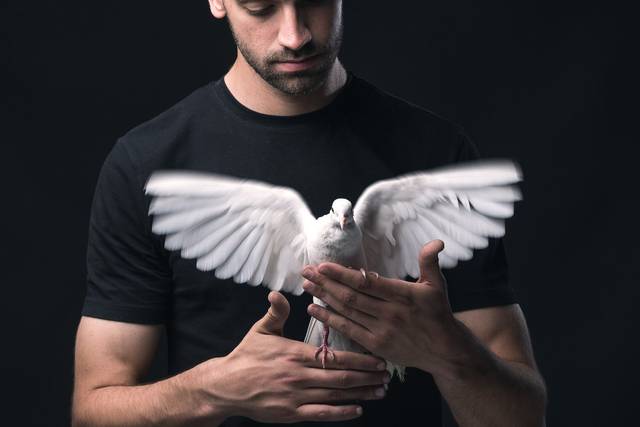 Alejandro