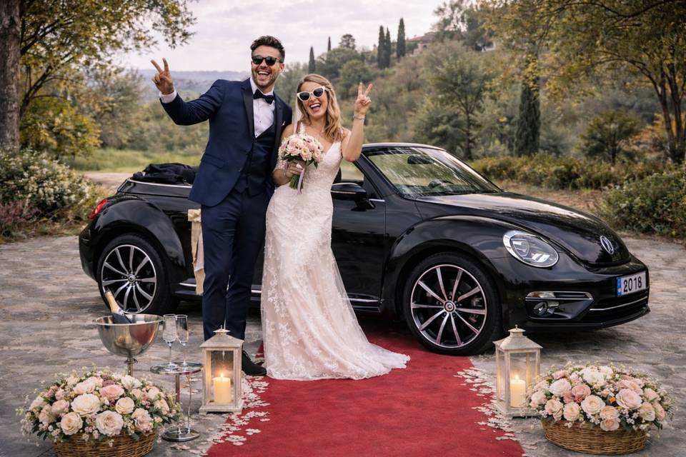 Encanto beetle