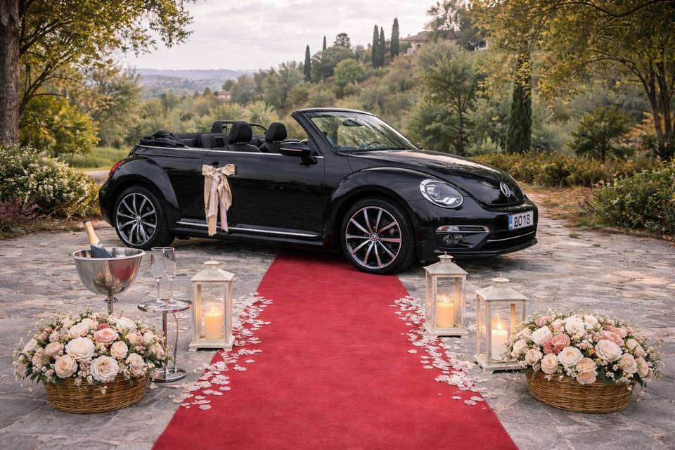 Encanto beetle