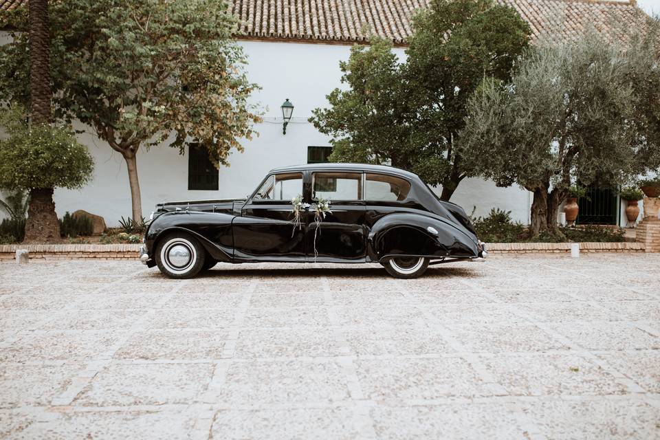 Clasico