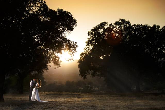 © Fran Vaquero Bodas