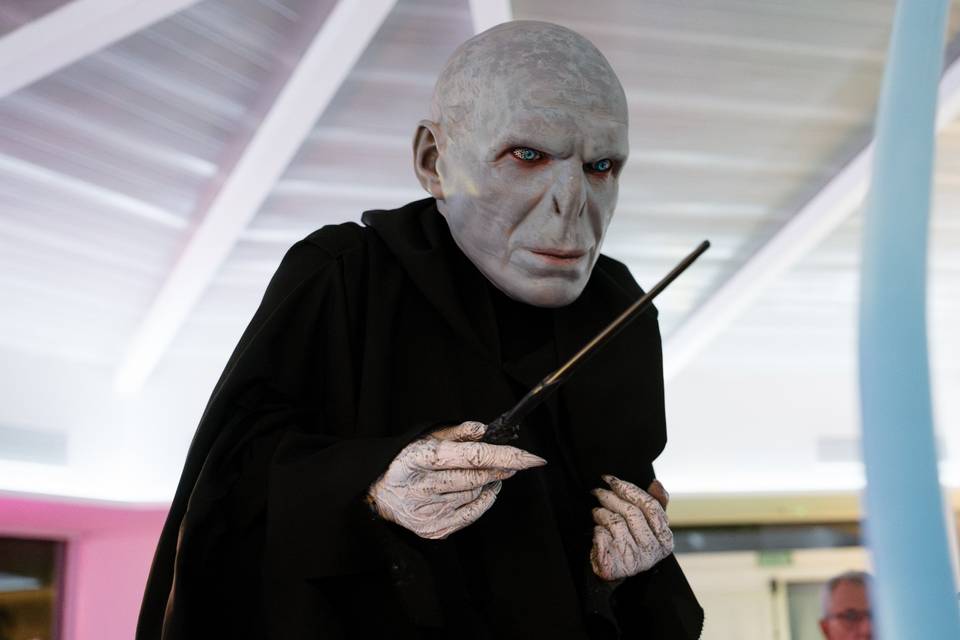 Hora Loca Harry Potter
