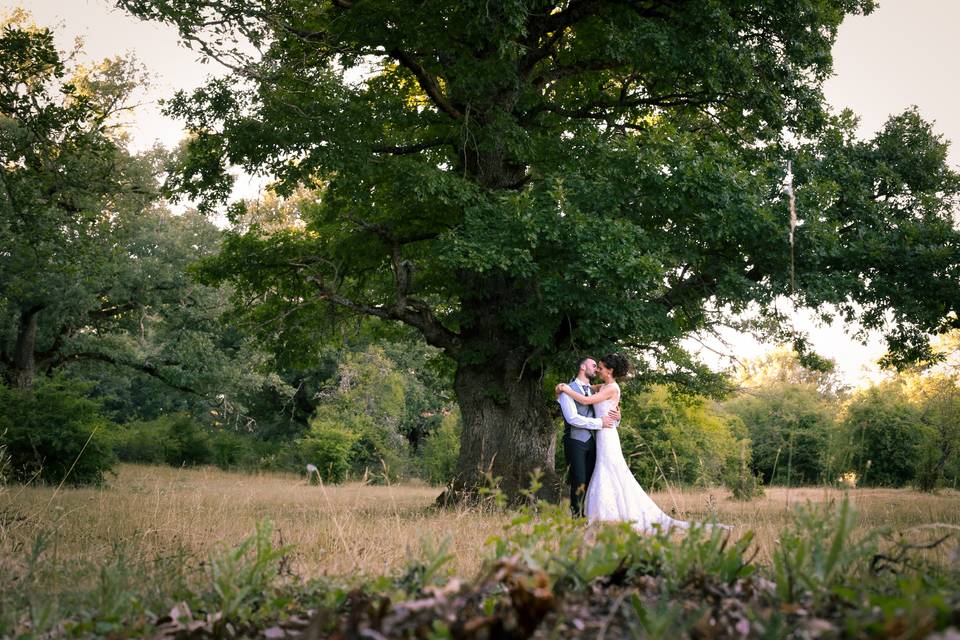 Boda en el campo