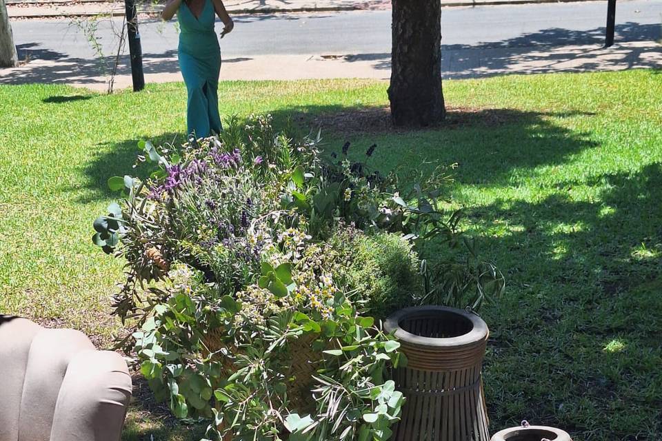 Ceremonia