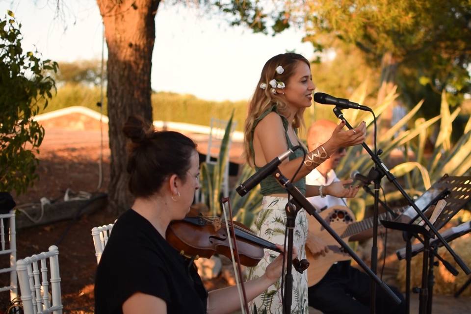 Guitarra, voz y violín