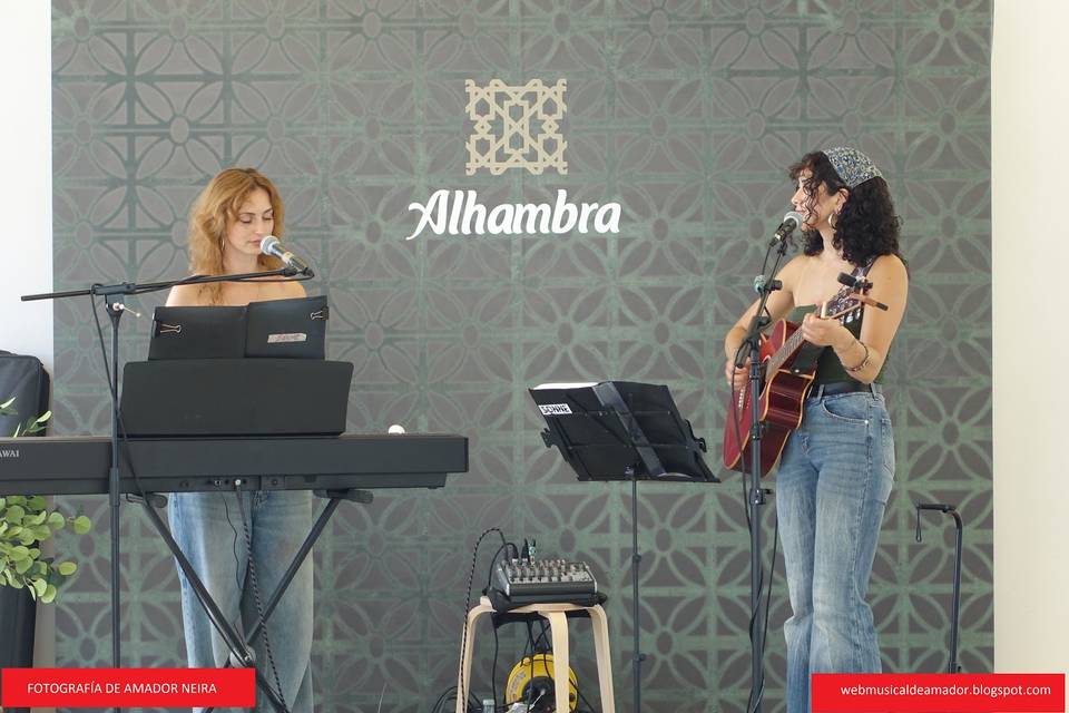 Conciertos en bares