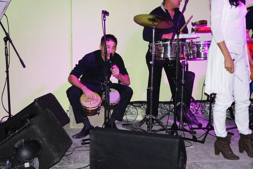 Toca tu bongo