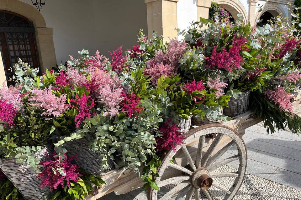 Carro Rosa y Fucsia