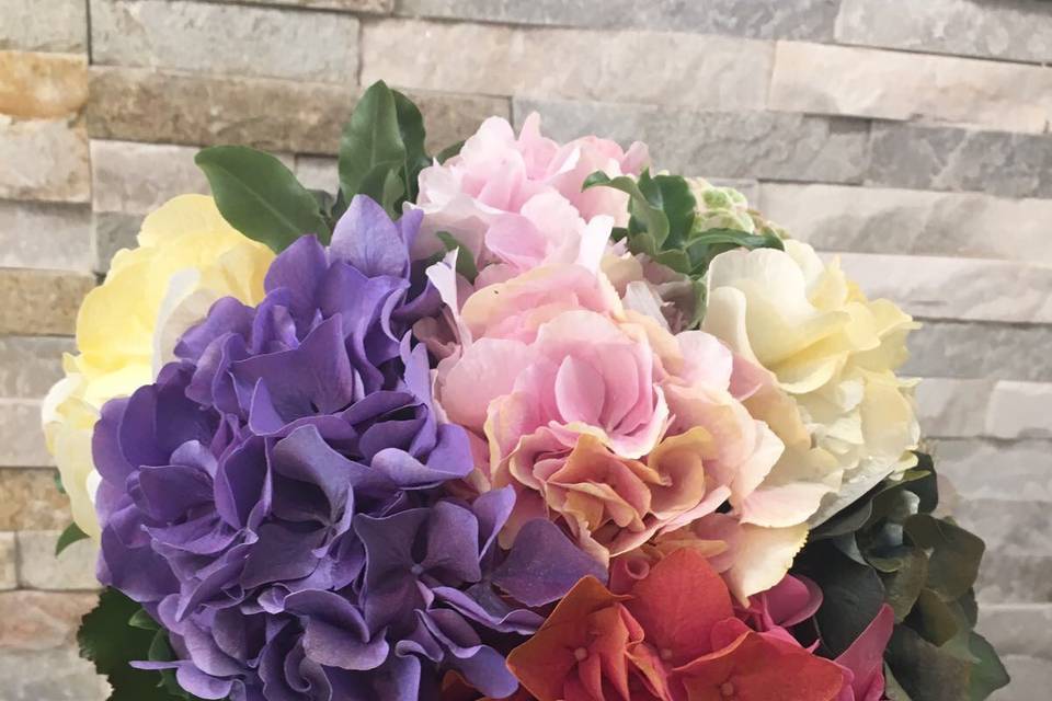 Hortensias de colores