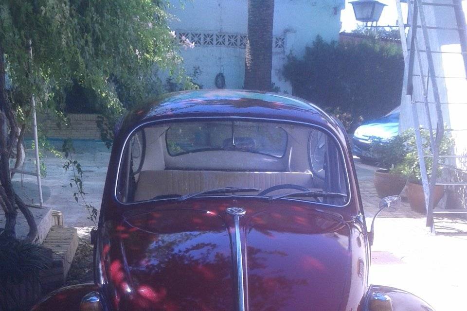 VW Escarabajo