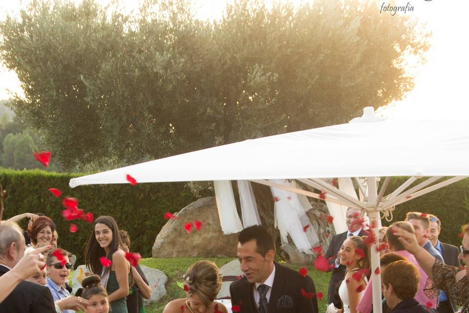 Wedding Planner Bcn