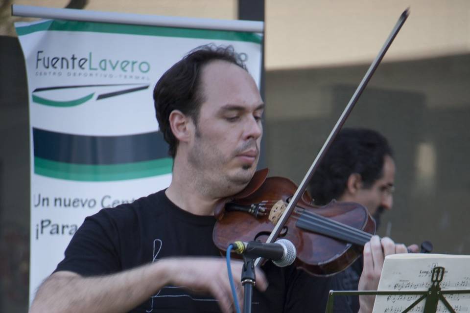 Violinista