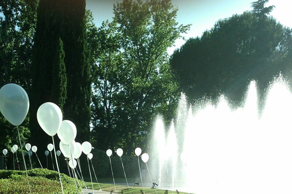 Camino globos para entrada