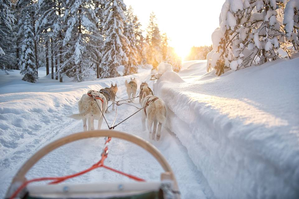 Expedición en Laponia