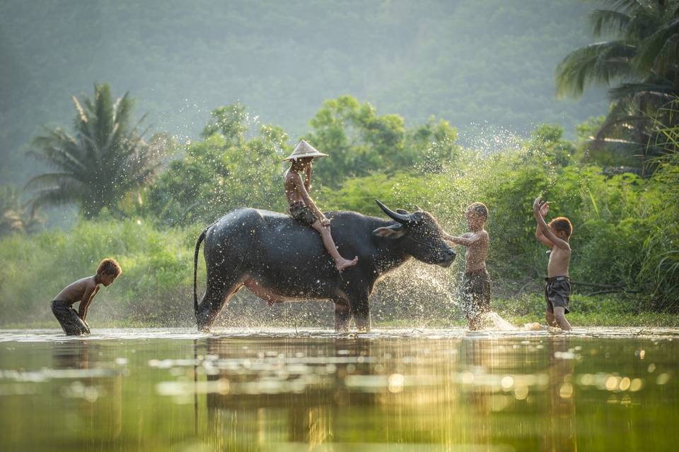 Pueblos de Vietnam