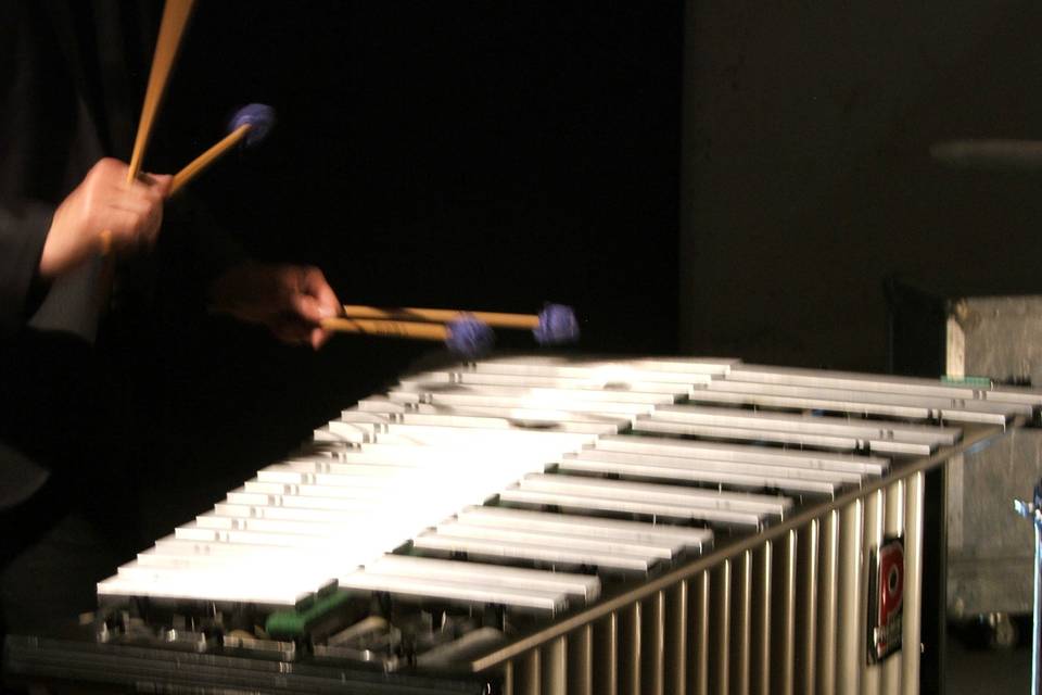 Tocando el xilófono