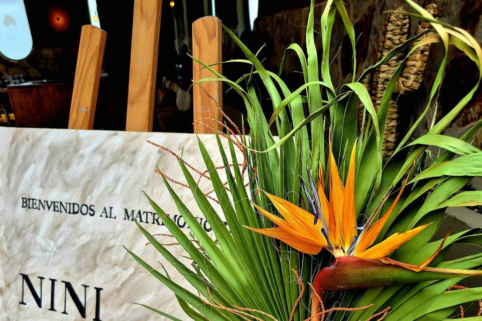 Rincón de Bienvenida Tropical