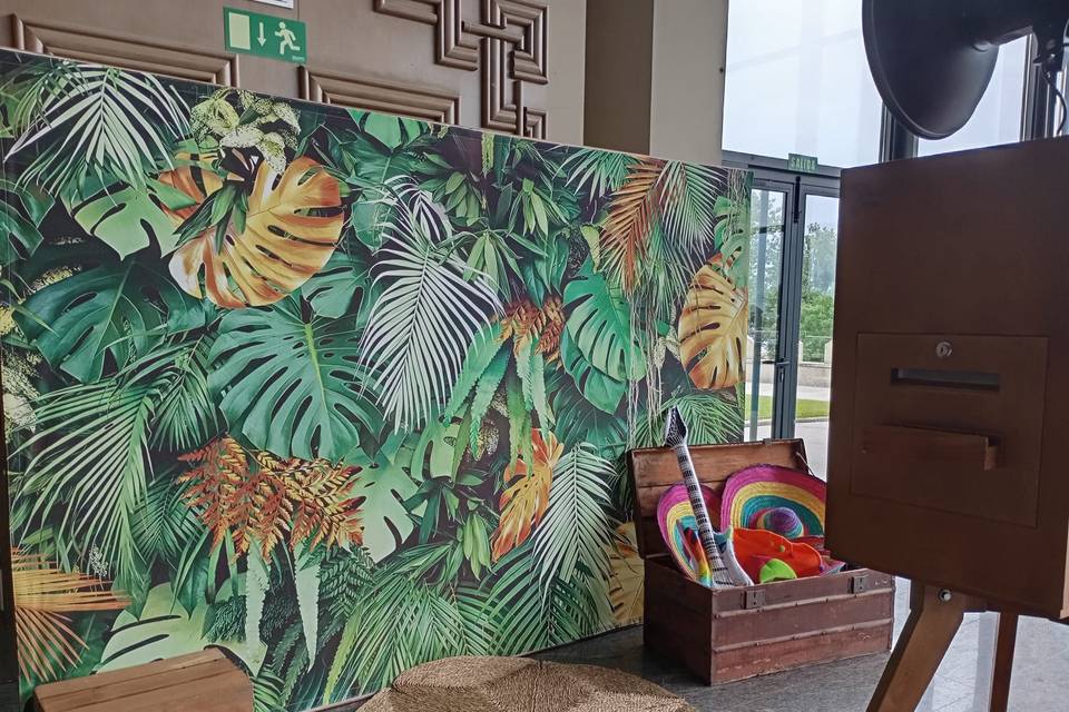 Photocall tropical