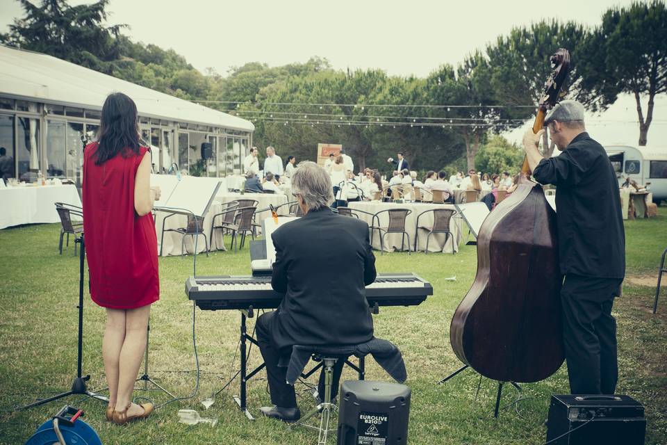 Actuación en boda de julio de 2016