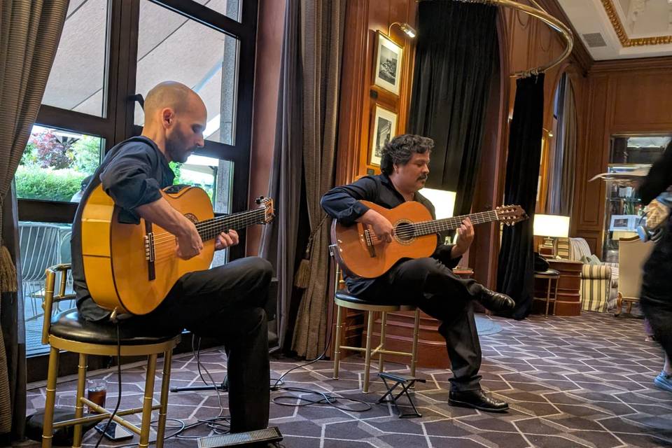 Evento guitarrístico íntimo